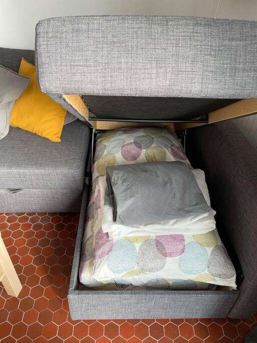 Studio Cosy Et Lumineux De 35M2 A Romagnat公寓 外观 照片